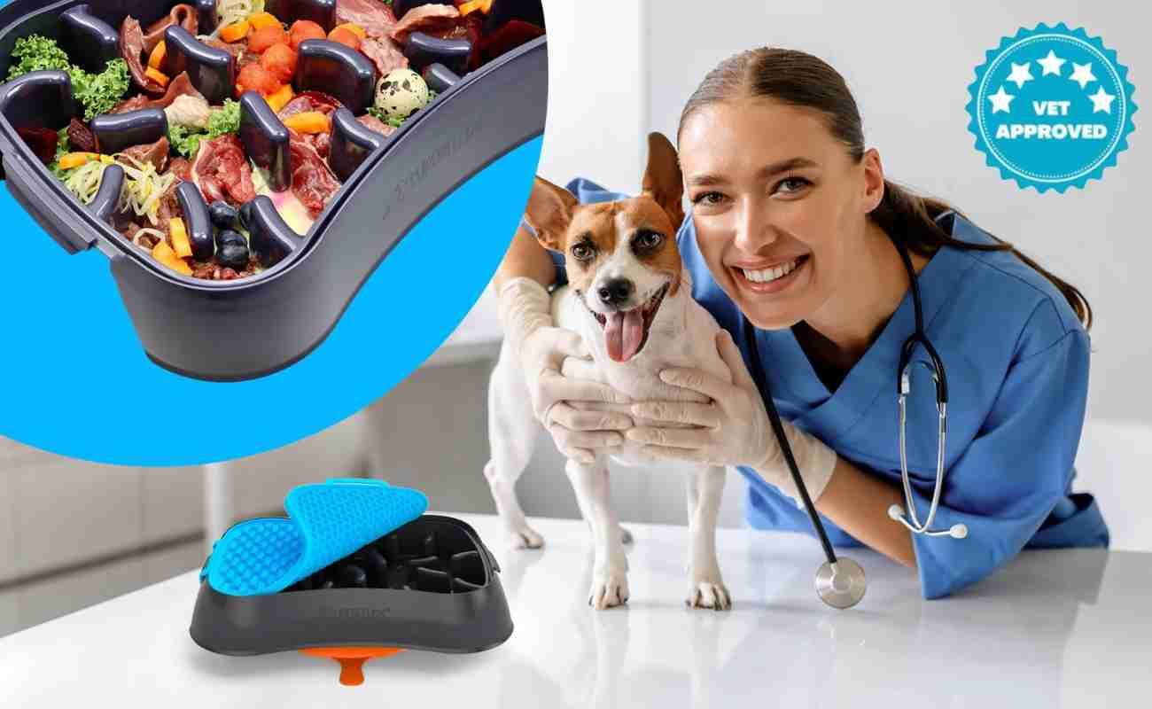 Super Feedy-This New “Puzzle Bowl” Could Save Your Dog’s Life consumergifts