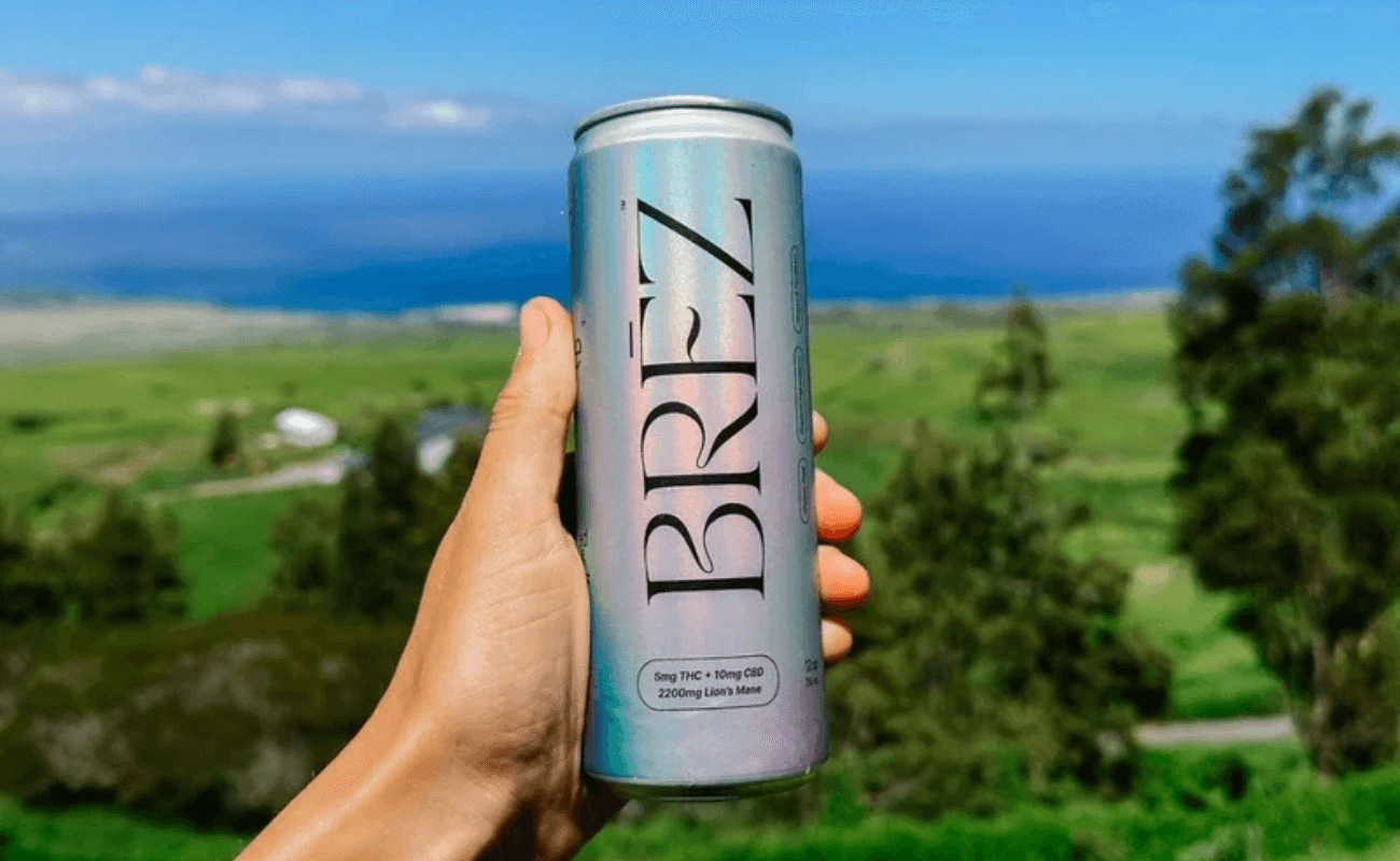 BREZ-Take This To Your Next Party consumergifts