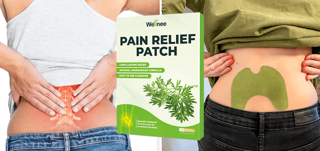 Wellnee-A Natural Solution To Reduce Swelling and Inflammation consumergifts